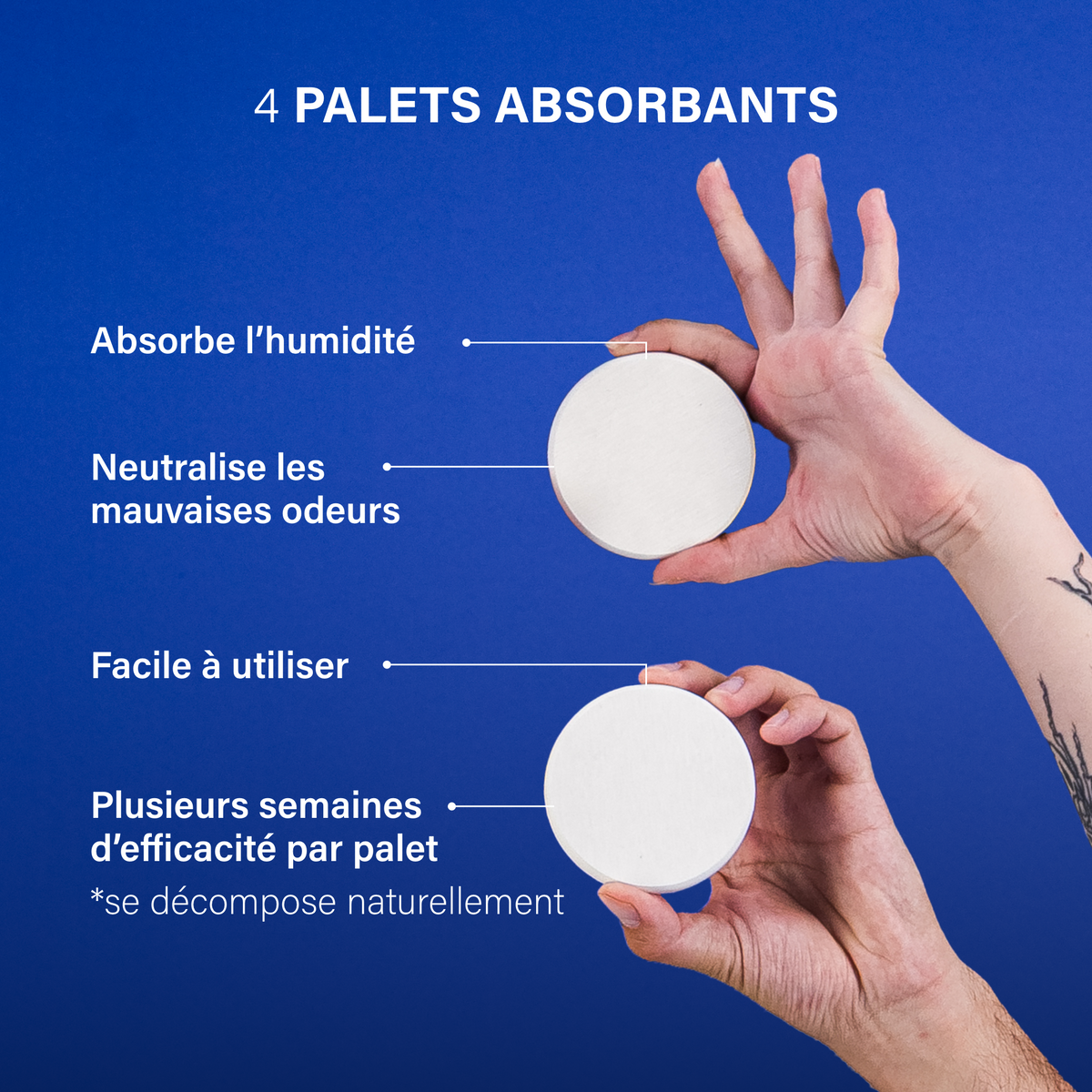 Pack de 4 palets Absorbants